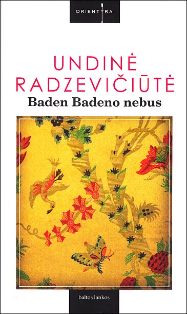 Baden Badeno nebus (skaityta knyga) - Undinė Radzevičiūtė